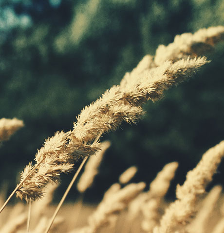 ddos压力测试平台